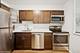 1560 N Sandburg Unit 1605J, Chicago, IL 60610
