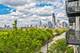 61 W 15th Unit 407, Chicago, IL 60605