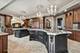14 Vandenbergh, South Barrington, IL 60010