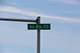 41616 N Delany, Wadsworth, IL 60083