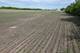 41616 N Delany, Wadsworth, IL 60083