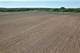 41616 N Delany, Wadsworth, IL 60083