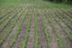 41616 N Delany, Wadsworth, IL 60083