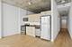 1720 S Michigan Unit 3004, Chicago, IL 60616