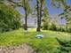 2571 Forest View, River Grove, IL 60171