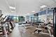 1600 S Prairie Unit 1002, Chicago, IL 60616