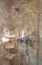 2705 Colonial, Elgin, IL 60124