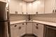 2850 W Barry Unit GF, Chicago, IL 60618