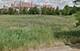 6 Blossom, South Barrington, IL 60010