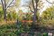 21019 W Preserve, Kildeer, IL 60047