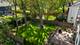 1021 Oxford, Downers Grove, IL 60516