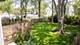 1021 Oxford, Downers Grove, IL 60516