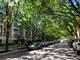 1515 S Prairie Unit 1016, Chicago, IL 60605