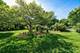 2417 Wentworth, Aurora, IL 60502