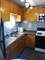 1451 E 55th Unit 523N, Chicago, IL 60615