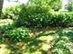 3007 Monterey, Flossmoor, IL 60422