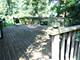 3007 Monterey, Flossmoor, IL 60422
