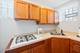 2415 W Belle Plaine, Chicago, IL 60618