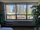 70 W Burton Unit 804F, Chicago, IL 60610