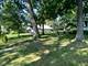 1005 Ashland, Wilmette, IL 60091