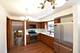 10945 S Lowe, Chicago, IL 60628