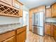 127 Wolcott Unit 2, Schaumburg, IL 60193