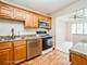 127 Wolcott Unit 2, Schaumburg, IL 60193