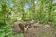 2114 Cedar, Homewood, IL 60430