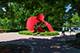 1308 N Wright, Naperville, IL 60563