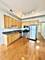 1464 S Michigan Unit 2007, Chicago, IL 60605