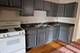 7250 S Merrill, Chicago, IL 60649