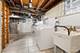 1176 S Maple, Oak Park, IL 60304