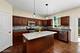 4 Marshall Ash, Bolingbrook, IL 60490