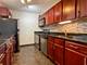 222 E Pearson Unit 1206, Chicago, IL 60611