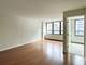 222 E Pearson Unit 1206, Chicago, IL 60611