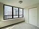 222 E Pearson Unit 1206, Chicago, IL 60611