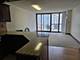 10 E Ontario Unit 2104, Chicago, IL 60611