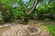 34140 N Hickory, Grayslake, IL 60030