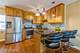 8800 N Wisner Unit C, Niles, IL 60714