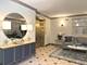 1739 Tudor Unit 204, Northbrook, IL 60062