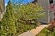 4042 N Kenneth, Chicago, IL 60641