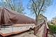 6108 S Honore, Chicago, IL 60636