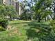 2211 S Highland Unit 4C, Lombard, IL 60148