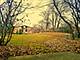 5955 Meadow Unit 5955, Lisle, IL 60532