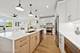 3300 S Giles, Chicago, IL 60616