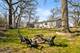 507 Birch, Wheaton, IL 60187