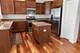 552 Autumn, Pingree Grove, IL 60140
