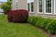 552 Autumn, Pingree Grove, IL 60140