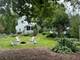 296 May, Glen Ellyn, IL 60137