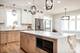 5818 S Mobile, Chicago, IL 60638